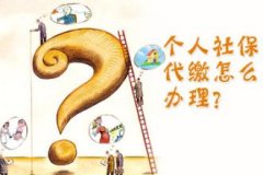 11月濟南毛老師個人選擇在濟南社保服務網交社保